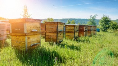 Семинар «Ведение пчеловодства в современных условиях».