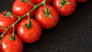 Производство тепличных овощей увеличилось на 1,9%.