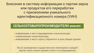 Продукция, информация о которой будет вноситься в систему ФГИС "Зерно"