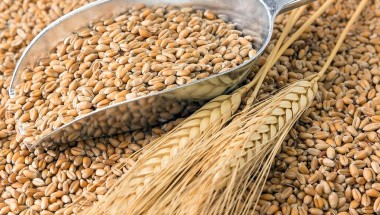 Минсельхоз расширяет возможности экспорта сельхозкультур с Дальнего Востока