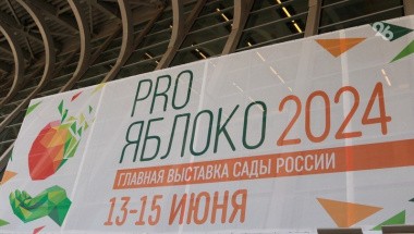 Перспективы развития садоводства обсудили на Международной выставке «PRO ЯБЛОКО»