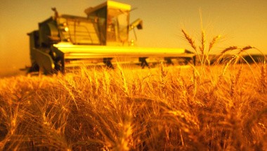 Кредитование сезонных полевых работ увеличилось на 18,6%.