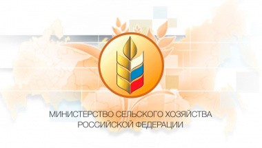 Министерство сельского хозяйства усовершенствует механизмы господдержки АПК в 2023 году.